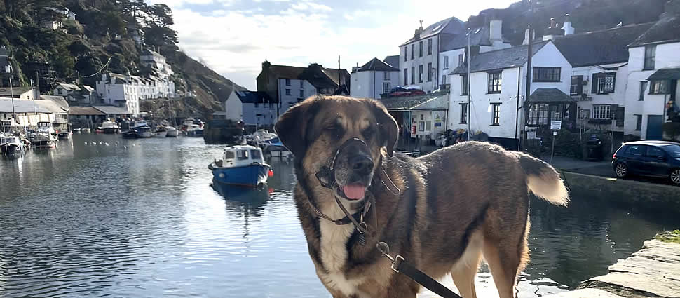 Walking down to the harbour to stroll along the coast path